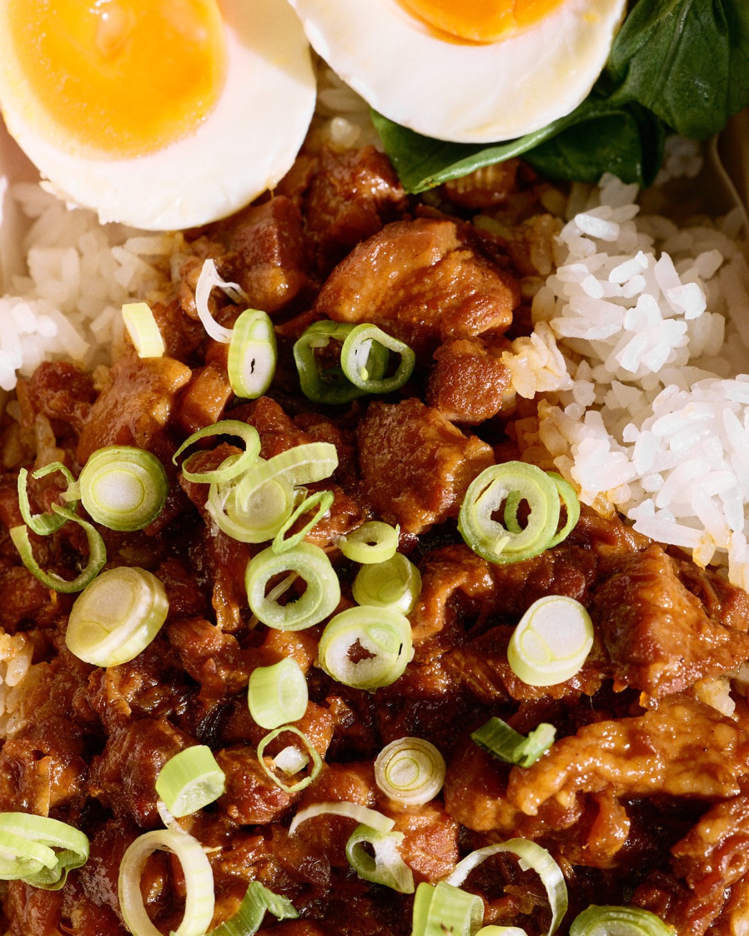 Lu Rou Fan, Taiwanese braised pork rice bowl with soft egg and spring onion